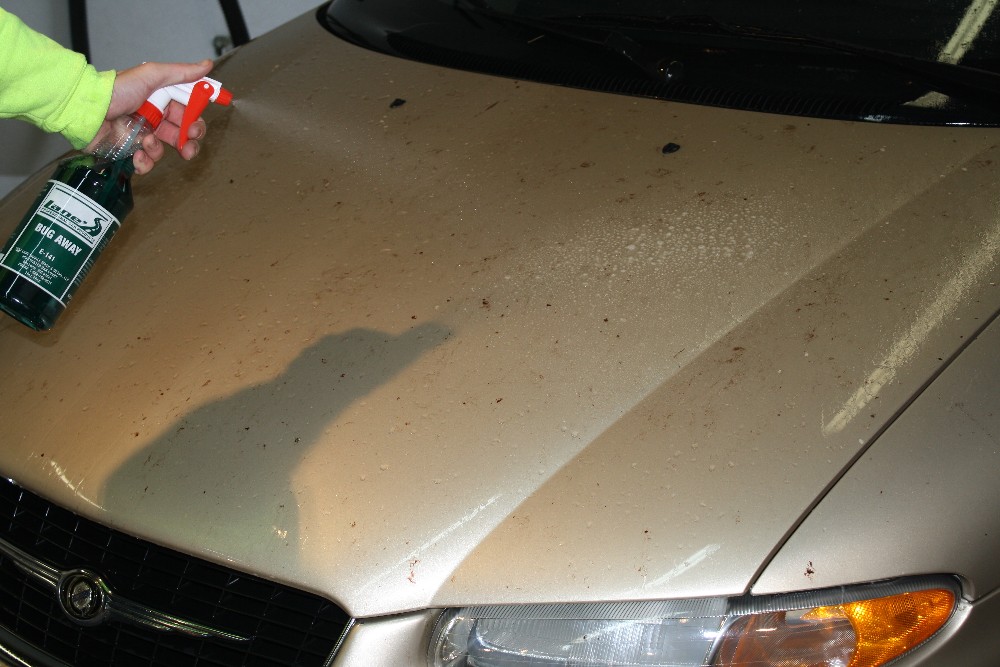 Auto Bug Remover How To Remove Bug Residue From Car Paint