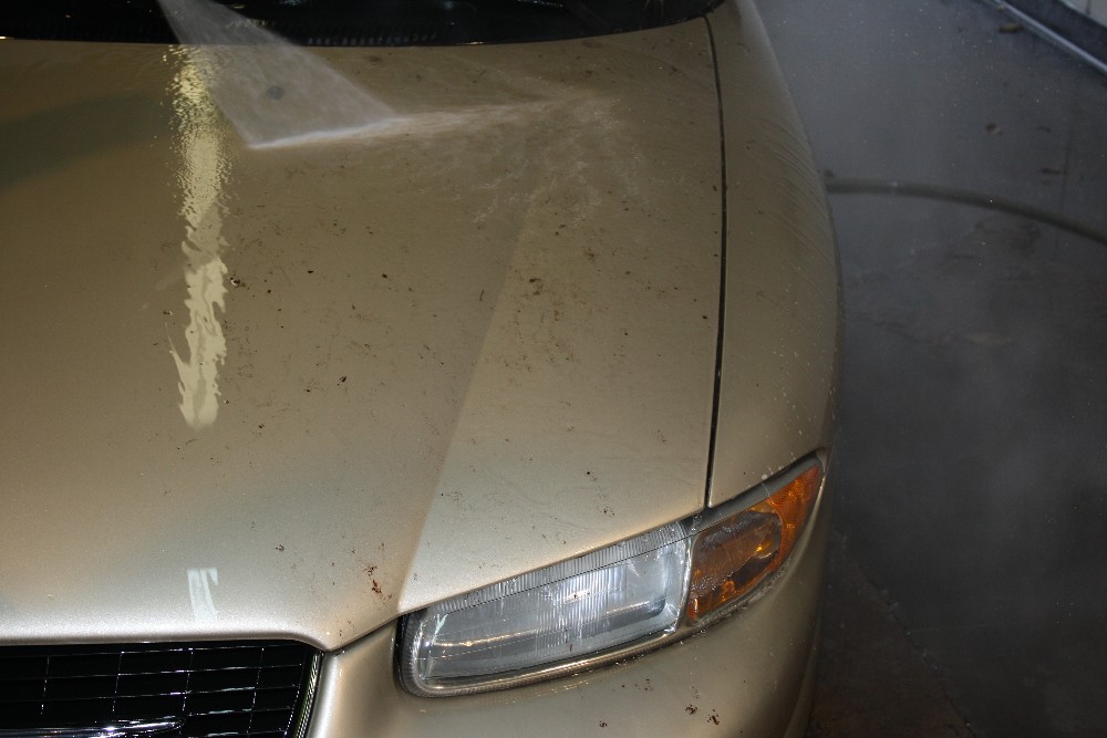 Auto Bug Remover How To Remove Bug Residue From Car Paint